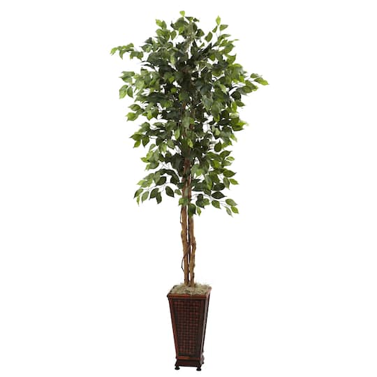6.5ft. Ficus Tree In Decorative Planter